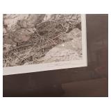 Carl Brenders "Canadian Lynx Triptych" and two other prints