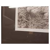 Carl Brenders "Canadian Lynx Triptych" and two other prints