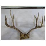 Deer Antlers and Shooting Mat