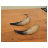 Lot of (2) Polished Finish Cow / Steer Horns