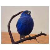 Indigo Bunting Perched on a Branch theme by Paul Thompson (12/91) #31 Hand Carved Figurine