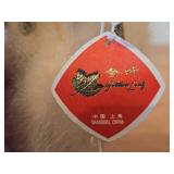 Taxidermy Duckling by Golden Leaf (Shanghai China)