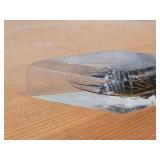 Real Cicada Specimen Preserved in Clear Resin in the Shape of a Diamond