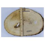 Wolf Pack Wood Slice Plaque - Rocky Mountain National Park, CO - 15 in Diameter