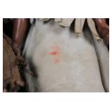 4-Piece Native American Fringe Dolls - Beaded Cloth Outfits, Made in Japan