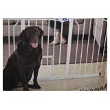 Top Paw Extra-Wide Walk-Through Pet Gate with Small Pet Door - 29-62 in Wide