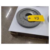 (2) 5 lb. Weights...