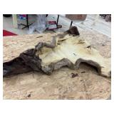 Bear skin