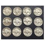 Buffalo Nickels 12-Coin Lot - Dates include 1927, 1928, 1936, 1937