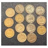 Indian Head Cents - 14 Circulated Coins, Dates Vary (1897-1908)