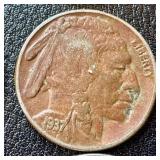 Buffalo Nickels (Lot of 9) - Circulated, Dates Vary (1935-1937)