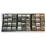 Vintage Minnesota Vikings Football Extravaganza