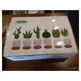(6) Succulent Planters