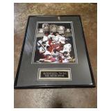 Minnesota Twins Picture