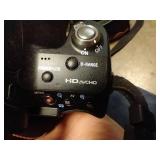 Sony Alpha 33 SLR Digital Camera with Built-in Flash