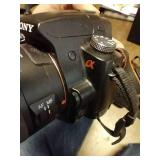 Sony Alpha 33 SLR Digital Camera with Built-in Flash