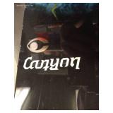 Canyon Snowboard with Burton Bag