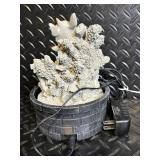 Newport Coast Turtle Water Fountain with Coral Rock & 7 Hand-Carved Turtles