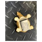 Newport Coast Turtle Water Fountain with Coral Rock & 7 Hand-Carved Turtles