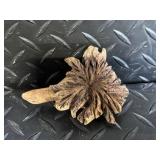 Newport Coast Turtle Water Fountain with Coral Rock & 7 Hand-Carved Turtles