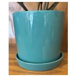 LR - Live ZZ Plant (Zamioculcas zamiifolia) in Turquoise Ceramic Pot