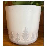 LR - Live Plant - Scalloped-Leaf Green Succulent