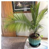 UBR - Palm Plant in Teal Ceramic Pot