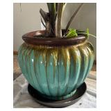 UBR - Palm Plant in Teal Ceramic Pot