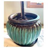 UBR - Live Rubber Plant Ficus elastica