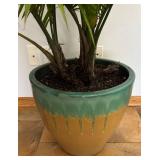 LL - Areca Palm (Dypsis Lutescens) in Ceramic Planter