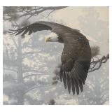 UBR - Daniel Smith Shrouded Forest Print