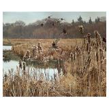 UBR - Wayne Meineke "Lake Cornelia" Limited Edition Print