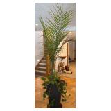 LL - Palm Plant - Large Indoor with Pothos in Black Planter