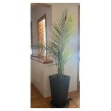 LL - Palm Plant in Tall Black Planter