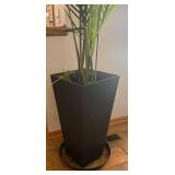 LL - Palm Plant in Tall Black Planter