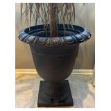 MR - Yucca Cane Plant in Large Decorative Pot