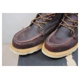 Irish Setter Ashby Men