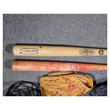 Recreational Softball Bundle with Bag