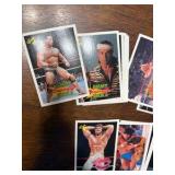 Vintage WWE Wrestling Trading Cards Featuring Legendary Wrestlers