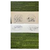 Minnesota Vikings, Kevin Williams, Pat  Williams, Bobby Wade, Sidney Rice autograph from 2007