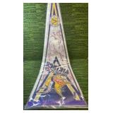 Minnesota Vikings Autographed Pennant , some 15 Signatures!