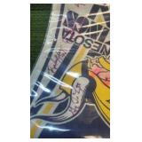 Minnesota Vikings Autographed Pennant , some 15 Signatures!