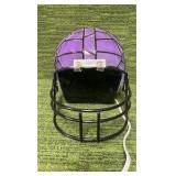 Minnesota Vikings Unique Art Lamp/ Glowing Night Light -Light works!