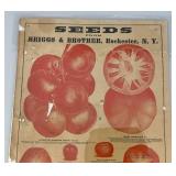 Antique Briggs & Brother