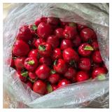Red Apple Ornaments (Faux Fruit) - Bulk lot