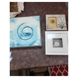 Wall Art - Ocean Shell Frames (Set of 3)