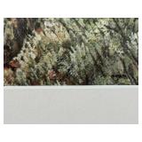 Limited Edition Framed Signed James Faulkner Lithograph Print Titled "Cougar Cub", 319/600