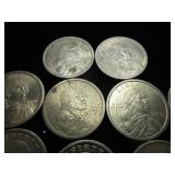 Nine Sacagawea Dollar Coins