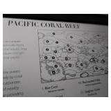 Pacific Coral Reef & So.Florida Wetlands Stamps