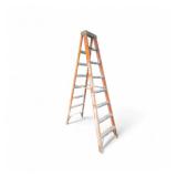 8ft Ladder 300lb capacity